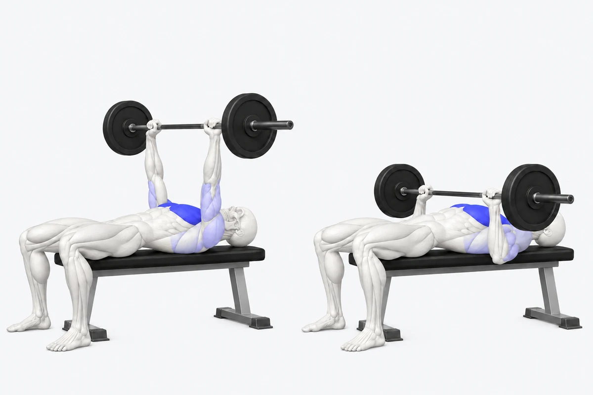Barbell Bench Press - Medium Grip exercise illustration